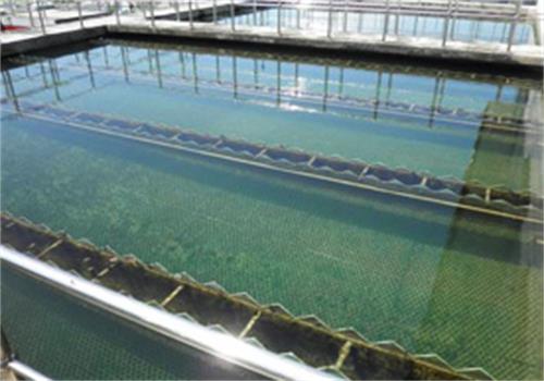 废水处理絮凝剂沉淀池