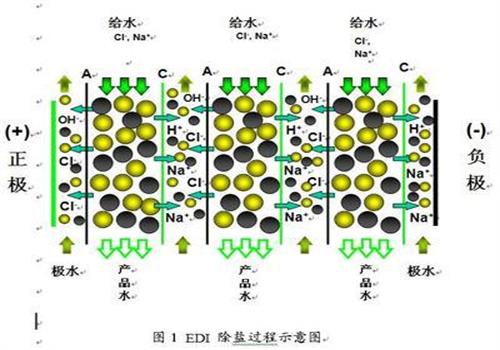 edi纯水江南jiangnan(中国)的工作原理